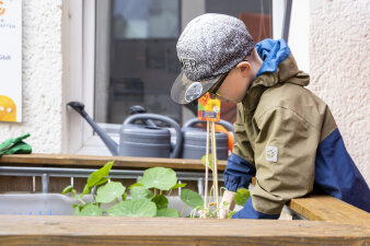 Ein Kind pflanzt Gemüse in ein Hochbeet. 