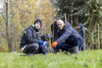 zwei Männer hocken neben einem frisch gepflanzten Baum