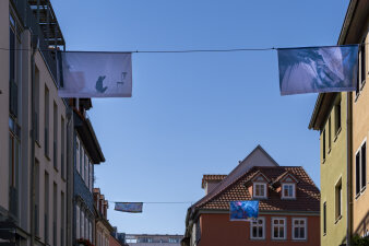 Mehrere Fahnen mit Kunst hängen über der Straße