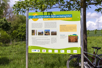 eine Informationstafel mit der Überschrift "Landwirtschaft erFahren am Radring Erfurt"