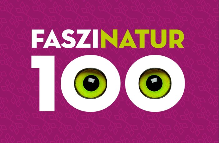 Motiv zur Ausstellung Faszinatur im Naturkundemuseum Der Schriftzug Faszinatur und eine Zahl einhundert, deren Nulle aus Eulenaugen bestehen