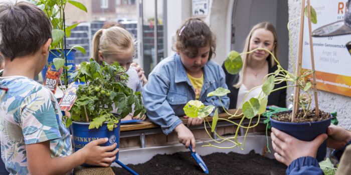 Kinder pflanzen Gemüse in ein Beet.
