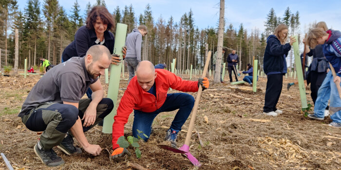mehrere Personen pflanzen Bäume, im Fokus zwei Männer und eine Frau
