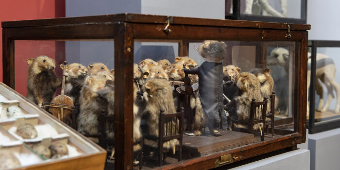 Vitrine mit Hamsterorchester