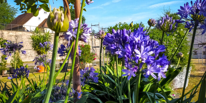 Große Pflanzenkübel auf einer Wiese