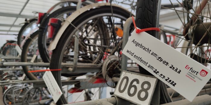 Foto: Radmarkierung © Stadtverwaltung Erfurt Mehrere Fahrräder stehen nebeneinander.