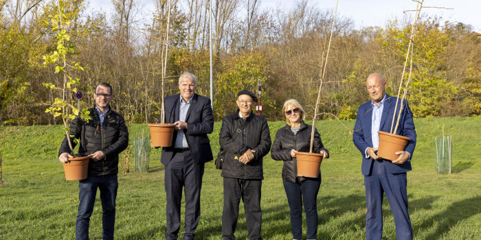 Fünf Personen stehen auf einer Wiese, vier von ihnen halten einen Baum in der Hand.