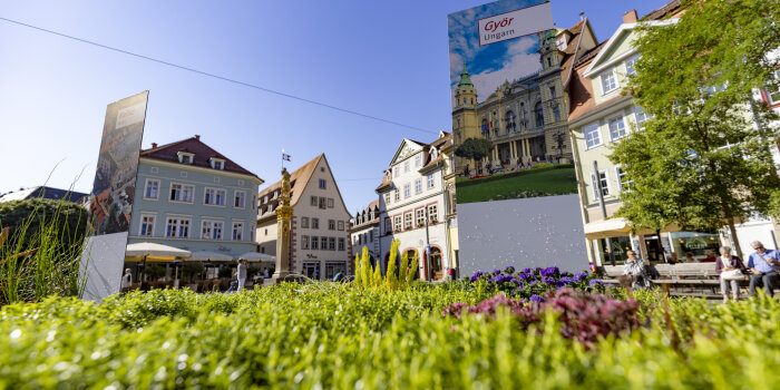 ein Pflanzenteppich, darin ein Schild mit der Aufschrift "Györ", im Hintergrund Altstadtkulisse