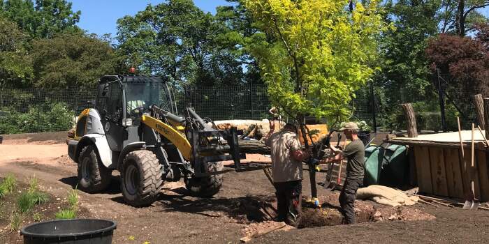 Zoopark: Bau der Gepardenanlage auf der Zielgerade