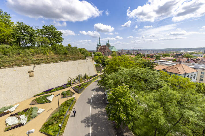 im Vordergrund eine Straße und Grünflächen, im Hintergrund der Erfurter Dom