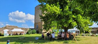 Menschen sitzen auf Bänken unter Bäumen, im Hintergrund eine Burg