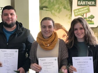 drei Personen halten Urkunden in der Hand