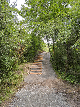 ein Wanderweg mit Holztreppe