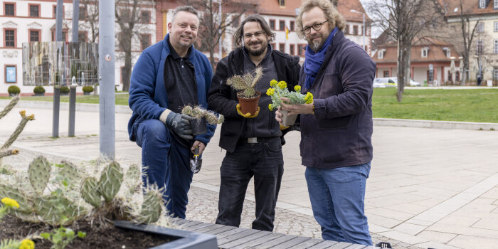 drei Männer halten Blumentöpfe mit Sukkulenten in der Hand