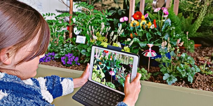 Ein Kind fotografiert mit einem Tablet ein Blumenbeet.