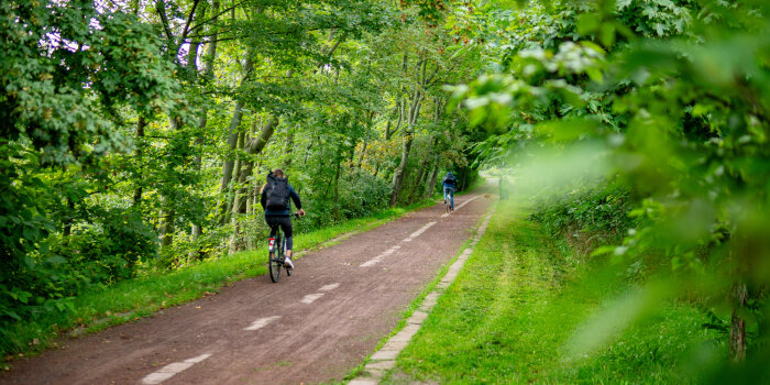 Ein Radweg durch einen Wald