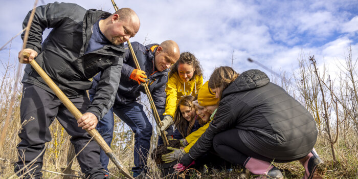 sieben Personen pflanzen einen Baum