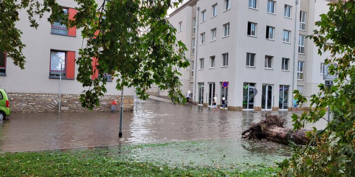 Eine Straße ist nach einem Unwetter überschwemmt und ein Baum entwurzelt. 