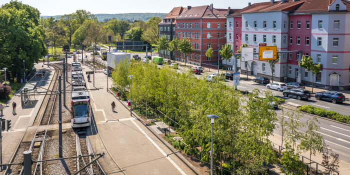 eine Straßenbahnhaltestelle, die mit einem Baumhain begrünt ist