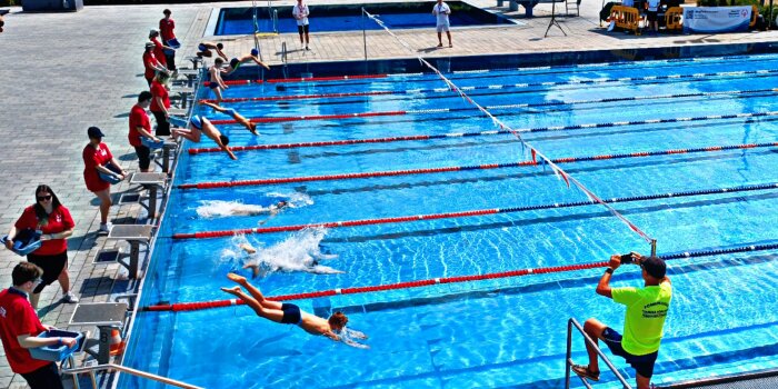 Mehrere Kinder springen in einen Schwimmbecken von Startblöcken aus.