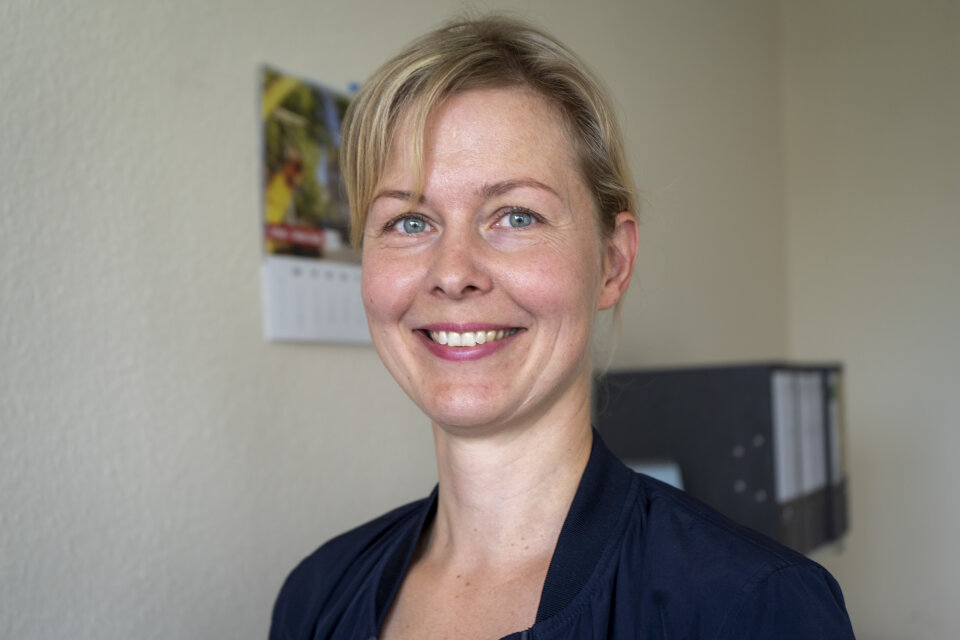 56+ Jugendamt Greifswald Frau Teich, Das jugendamt greifswald und