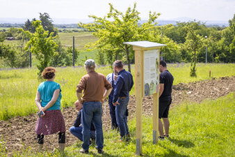 Personen stehen an einer Wiese und begutachten das eingebrachte Saatgut