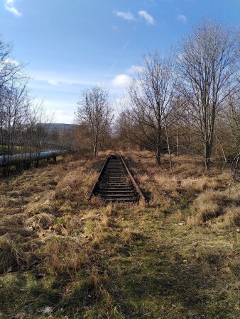 stillgelegte und zugewachsene ehemalige Bahntrasse