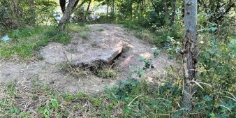 Unter Bäumen ragt ein Betonteil aus dem Boden. 