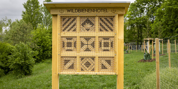 Großaufnahme eines Wildbienenhotels