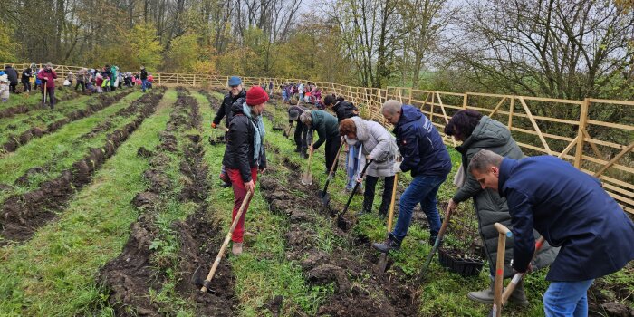 viele Menschen stehen auf einer umzäunten Wiese und graben Löcher