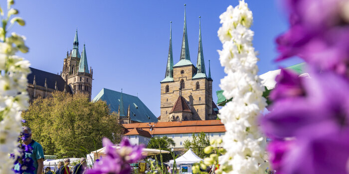 Interner Verweis: 35. Blumen- und Gartenmarkt am Wochenende auf dem Domplatz