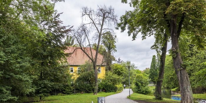 ein kahler Baum in einer sonst grünen Parkanlage