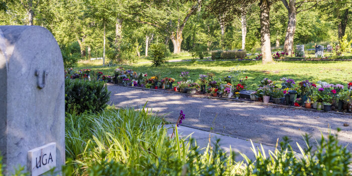 Foto: Urnengemeinschaftsgrabanlage © Stadtverwaltung Erfurt Ein von Grün umgebener Grabstein auf einem Friedhof
