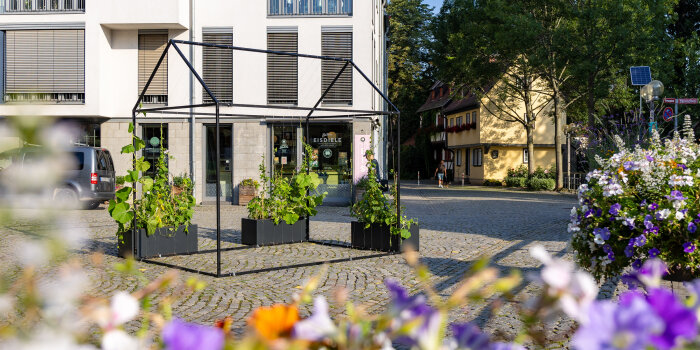 bepflanztes Metallgestell in Hausform