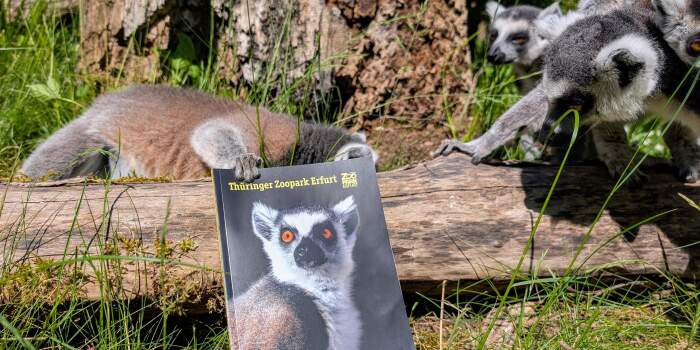 Druckfrisch & randvoll: Neuer Zooführer des Zooparks Erfurt erschienen