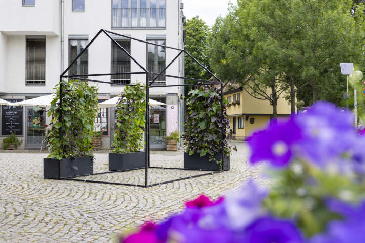schwarze Metallstreben in Form eines Hauses, an drei Ecken stehen Kübel mit grünen Kletterpflanzen
