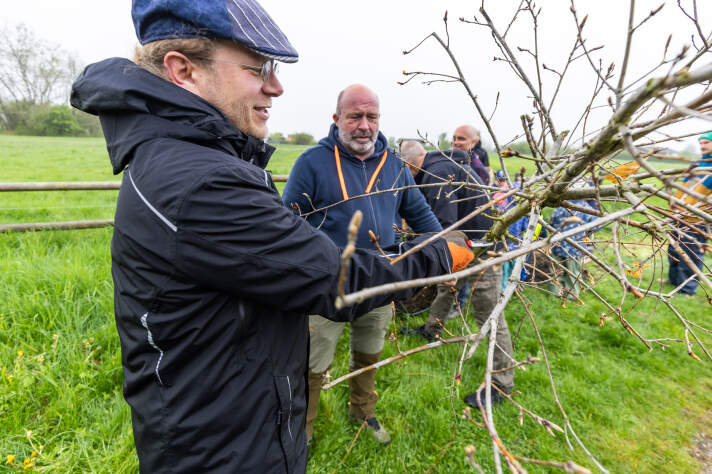 Zwei Männer halten einen jungen Baum fest. Im Hintergrund sind weitere Menschen.