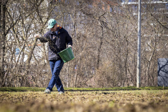 Ein Mann streut Samen auf einer Wiese aus, in der Hand hält er einen Eimer mit Saatgut