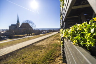 Blick auf eine Kirche im Vorderdrund ein mit Blumen bepflanztes Hochbeet