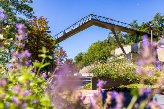 eine filigranen Stahlbrücke mit abgeknicktem Verlauf, im Vordergrund lilafarbene Blumen
