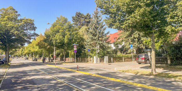 Eine Allee mit Bäumen