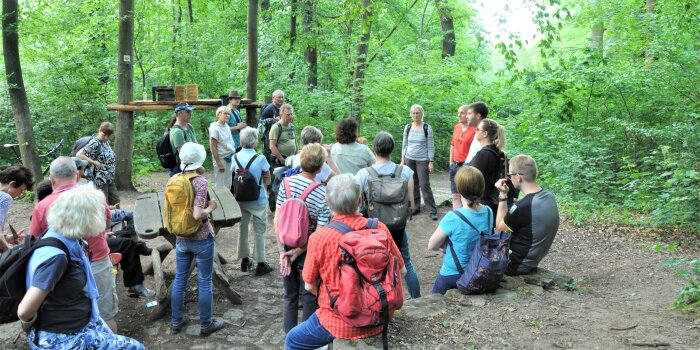 Foto: Bürgerwanderung Steigerwald © Stadtverwaltung Erfurt Eine Gruppe von Personen steht in einem Laubwald zusammen