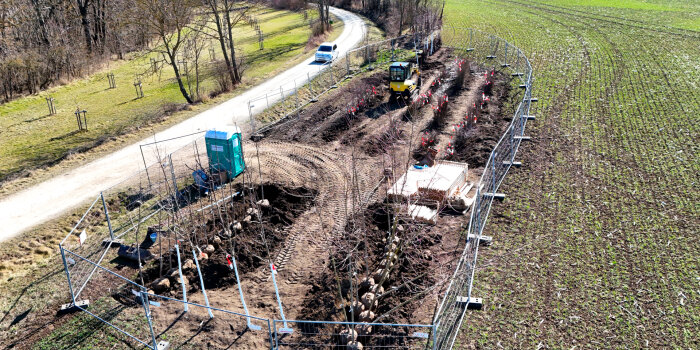 Blick auf ein eingezäuntes Gelände zwischen Straße und Feld, auf dem junge Bäume und Sträucher lagern