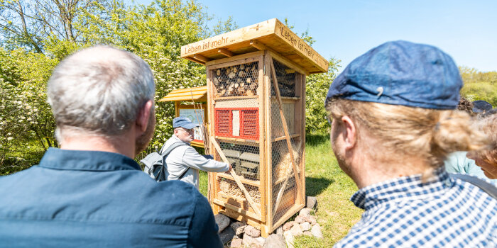 Personen stehen vor einem Insektenhotel aus Holz 