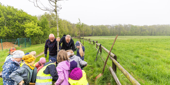 Zwei Männer halten einen jungen Baum fest. Rundherum sind viele Kinder in Rückansicht zu sehen.