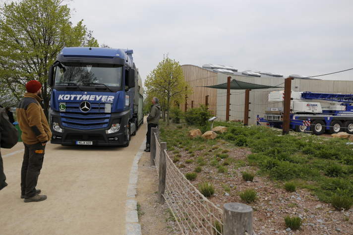 Ein LKW mit einem großen grünen Container fährt vor dem Elefantenhaus vor. 