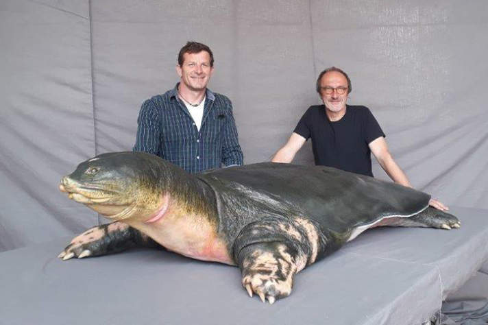 Die Präparatoren Marco Fischer und Jürgen Fiebig mit der fertig präparierten Schildkröte