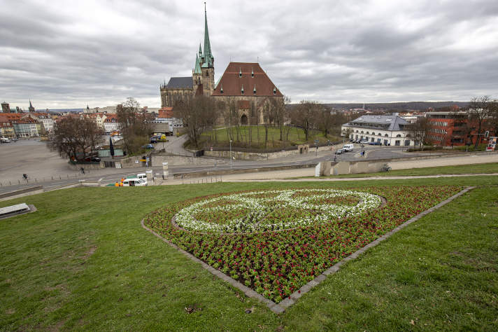 Blumenbeet vor Stadtkulisse