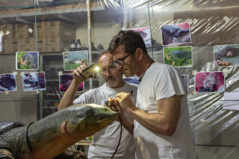 Die Präparatoren Marco Fischer und Jürgen Fiebig arbeiten an einer Schildkröte