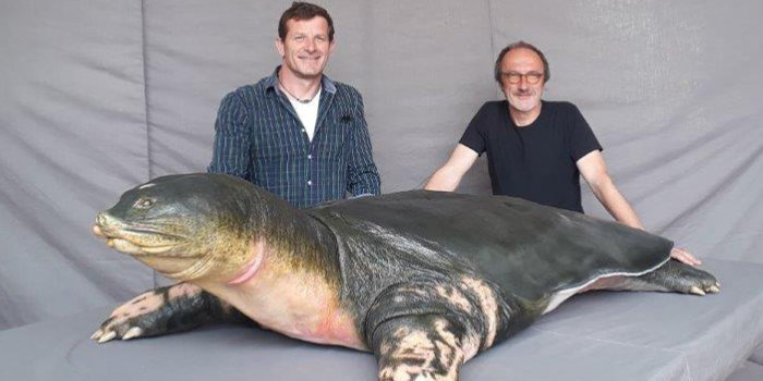 Die Präparatoren Marco Fischer und Jürgen Fiebig mit der fertig präparierten Schildkröte